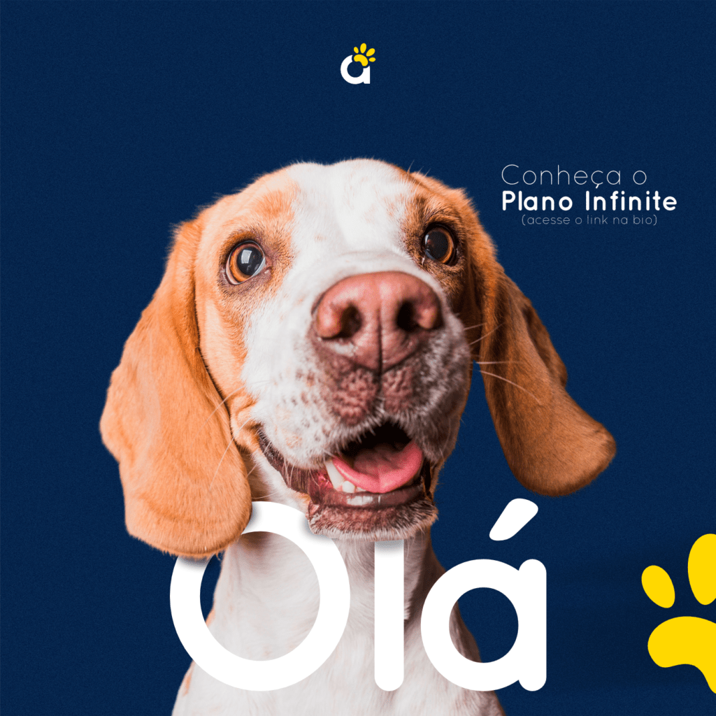 hospital-animais-plano-infinity-ola